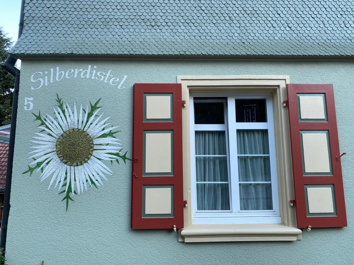 Haus Silberdistel Apartment Todtmoos Exterior photo